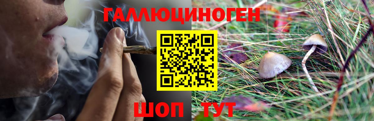 Галлюциногенные грибы Psilocybine cubensis  Вход с VPN  Псилоцибиновые грибы Magic Shrooms  Рыбинск 